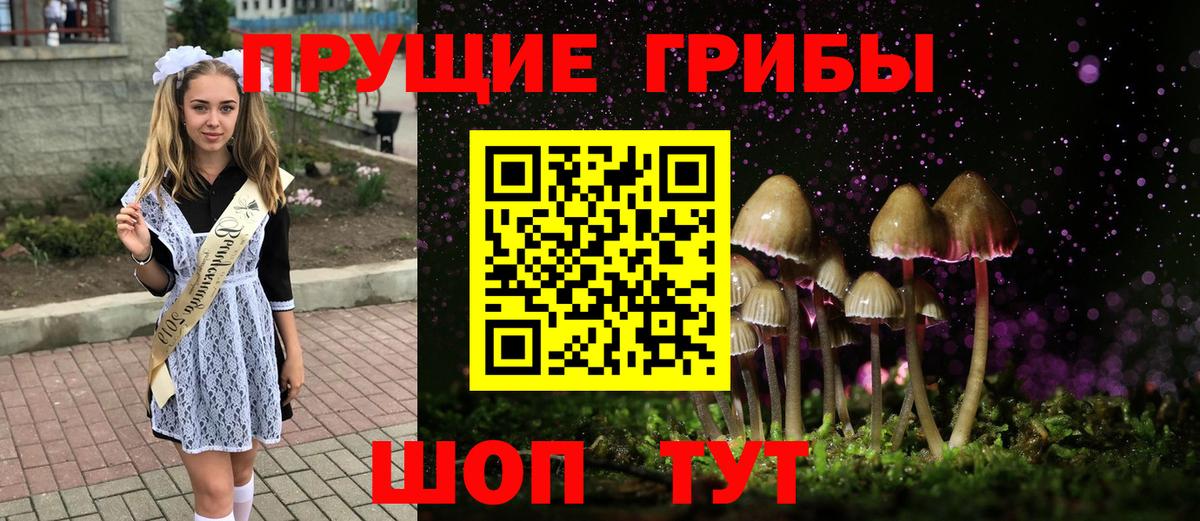 Псилоцибиновые грибы мицелий Братск