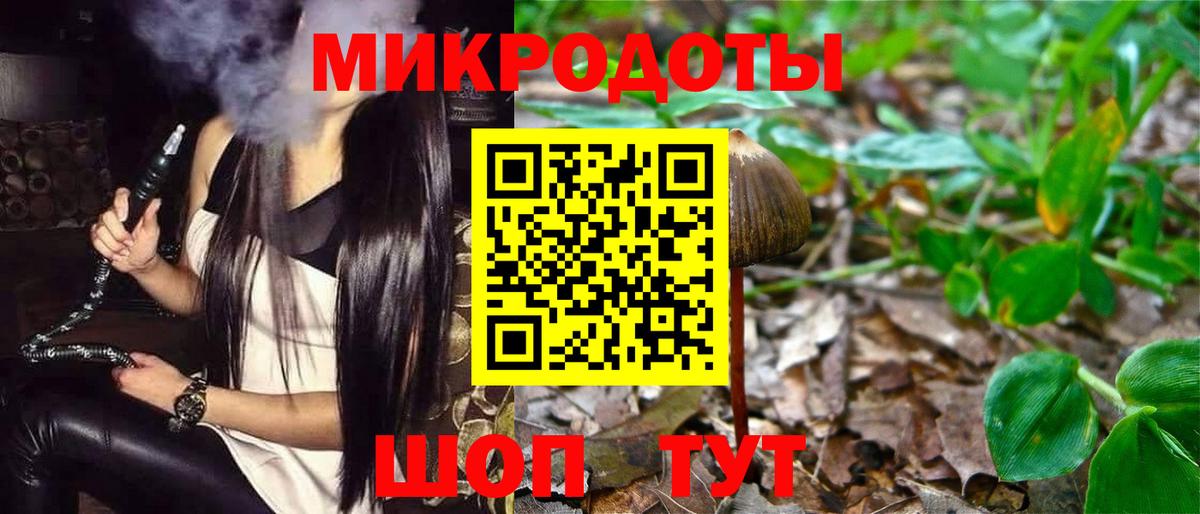 Псилоцибиновые грибы Psilocybe  Псилоцибиновые грибы Cubensis  Братск  Вход с VPN 